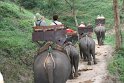 Day 9 - Chiang Mai - Elephant Camp 089